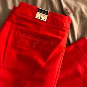 Express Columnist Pants